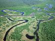 Estonian Rivers, Showing Oxbow Bends, Estonia by Niall Benvie Limited Edition Print