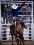 Bronco Riding West015 by Bob Burch Limited Edition Print