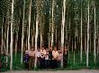 Uygur Children Standing In Forest Of Polar Trees Along Silk Road, China by Keren Su Limited Edition Print