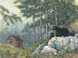 Bears' Cabin by Anita Phillips Limited Edition Print