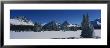 Trees On A Snow Covered Landscape, Astoria Valley, Jasper National Park, Alberta, Canada by Panoramic Images Limited Edition Pricing Art Print