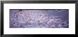 Triathlon Athletes Swimming In Water In A Race, Ironman, Kailua Kona, Hawaii, Usa by Panoramic Images Limited Edition Print