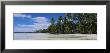 Palm Trees On An Island, Rangiroa, French Polynesia by Panoramic Images Limited Edition Print