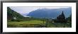 Church In A Village, Urnes Stave Church, Lustrafjorden, Luster, Sogn Og Fjordane, Norway by Panoramic Images Limited Edition Print