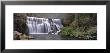 Waterfall In A Forest, Middle Falls Of The Mccloud River, California, Usa by Panoramic Images Limited Edition Print