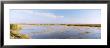 Route 41, Fakahatchee Strand State Preserve, Florida, Usa by Panoramic Images Limited Edition Print
