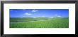 Wheat Field Gravel Road, Whitman County, Washington State, Usa by Panoramic Images Limited Edition Print