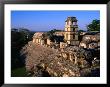 Palace (El Palacio), Palenque, Mexico by John Elk Iii Limited Edition Print