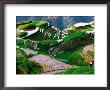 Zhuang Minority Girl In Terraced Rice Paddies, Long Ji, Guangxi, China by Keren Su Limited Edition Print