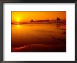 Oceanside Pier At Sunset, North County, San Diego, United States Of America by Richard Cummins Limited Edition Print