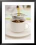 Pouring Tea Through A Tea Strainer by Winfried Heinze Limited Edition Pricing Art Print
