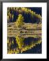Aspens In Fall Colors Reflected In Crystal Lake, Near Ouray, Colorado by James Hager Limited Edition Print