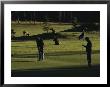 Two People Play Golf While Elk Graze On The Golf Course by Raymond Gehman Limited Edition Print