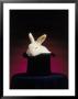 Magician's Rabbit In Hat by Kent Dufault Limited Edition Print