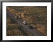 Aerial View Of Land Rovers Travelling A Dirt Road In The Park by Bobby Model Limited Edition Pricing Art Print