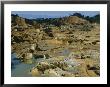 Gold Mining Destroyed And Poisoned The Banks Of The Rio Huaypetue by Maria Stenzel Limited Edition Print