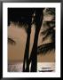 Tropical Island Paradise, Fiji, Pacific by John Hay Limited Edition Print