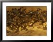 Flock Of Snow Geese Taking Off In Ground Fog, Bosque Del Apache National Wildlife Reserve by Arthur Morris Limited Edition Print