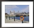 Liver Buildings And Docks, Liverpool, Merseyside, England, Uk by Charles Bowman Limited Edition Print