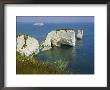 Old Harry Rocks, Isle Of Purbeck, Dorset, England, Uk by Roy Rainford Limited Edition Print
