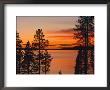 Laponia World Heritage Site, Lappland, Sweden, Scandinavia, Europe by Gavin Hellier Limited Edition Print