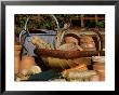 Garden Trug, Metal Watering Can, Terracotta Plant Pots, Hand Tools And Twine On Rustic Table by James Guilliam Limited Edition Print