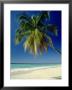Beach, West Indies by Mike England Limited Edition Pricing Art Print