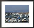 Boats In The Harbour Area, Beirut, Lebanon, Middle East by Christian Kober Limited Edition Print