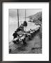 2 Rows Of Chinese Trackers Plodding Along Bank Of Yangtze River Towing A Junk Slowly Up River by Dmitri Kessel Limited Edition Pricing Art Print