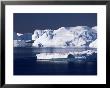 Icebergs From The Kangia Ice Fiord Seen From Hills Above Sermermiut, West Coast, Polar Regions by Tony Waltham Limited Edition Pricing Art Print