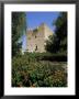 Kolossi Castle, Limassol, Cyprus by John Miller Limited Edition Print