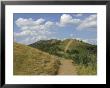 Footpath Along The Main Ridge Of The Malvern Hills, Worcestershire, Midlands, England by David Hughes Limited Edition Print