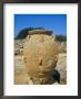 Minoan Jar, Malia, Island Of Crete, Greece, Mediterranean by Marco Simoni Limited Edition Print