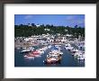 The Harbour From The Cobb, Lyme Regis, Dorset, England, United Kingdom by David Hunter Limited Edition Pricing Art Print
