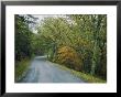 A Country Road Winding Through Trees by Kenneth Garrett Limited Edition Pricing Art Print
