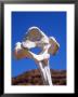 Bleached Cow Bone Found In The Desert, Utah by Bill Hatcher Limited Edition Print