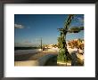 Sculpture Of Divers On A Coral Reef Along The Waterfront, Cozumel, Mexico by Michael S. Lewis Limited Edition Pricing Art Print