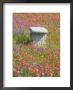 Bench In Graveyard Near Nixon, Texas, Usa by Darrell Gulin Limited Edition Pricing Art Print