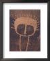Petroglyph Closeup, Utah by Rich Reid Limited Edition Print