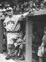 Boston Bees Manager Casey Stengel Posing For A Picture by David Scherman Limited Edition Print