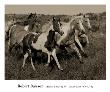 Horses Running Ii by Robert Dawson Limited Edition Print