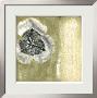 Celadon In Bloom Ii by Jennifer Goldberger Limited Edition Print