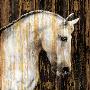 Horse Ii by Martin Rose Limited Edition Print
