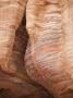 Close View The Layered Sandstone Rocks Of Petra by Taylor S. Kennedy Limited Edition Pricing Art Print