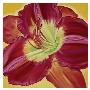 Red Day Lily Ii by Roberta Aviram Limited Edition Pricing Art Print