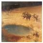 Reed Bed Pond by Eugen Bracht Limited Edition Print