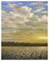 Delta Cotton by Jerrie Glasper Limited Edition Pricing Art Print