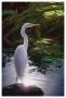 Egret Light by Steve Hunziker Limited Edition Pricing Art Print