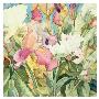 Irises And Peonies by Sharon Pitts Limited Edition Print