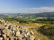 Selworthy Beacon Near Bossington Hill, Exmoor National Park, Somerset, England, United Kingdom by Adam Burton Limited Edition Print